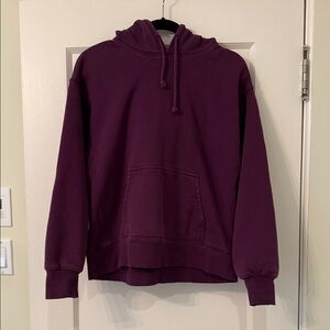 Aritzia Tna Plum Hoodie